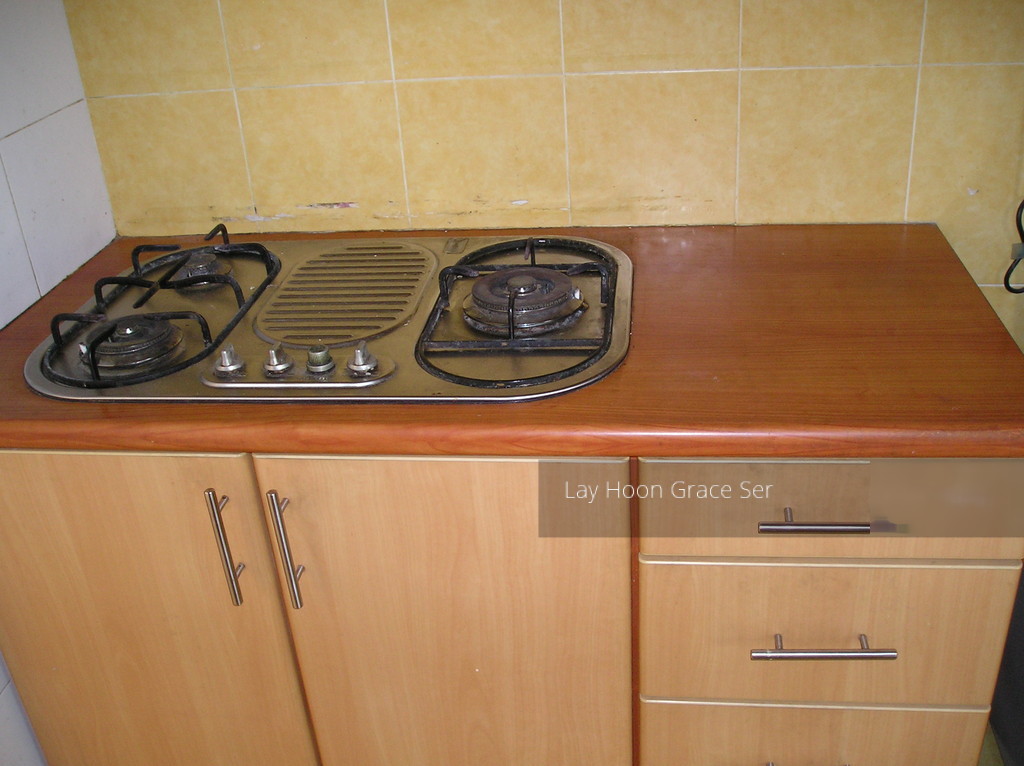 Chuan Park (D19), Condominium #156863202